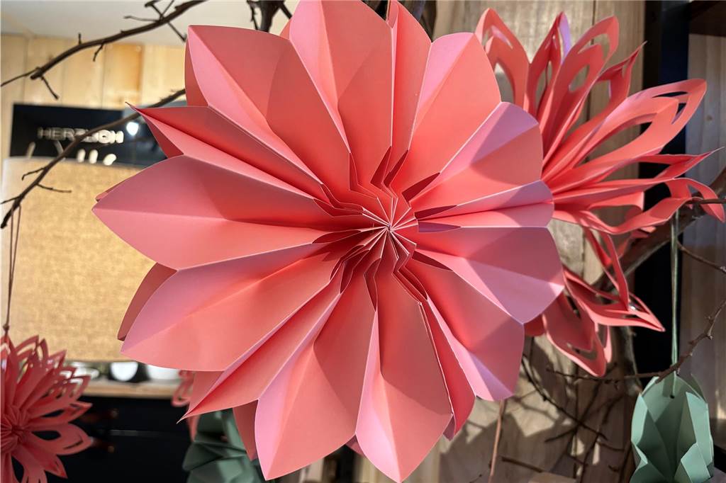 Anne Rexing macht Blütenträume wahr: Zum ersten Mal auf der Gewerbeschau Papierblume im Ladenlokal