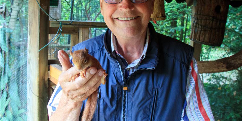 Mit Video: Wildes Eichhörnchen „Hansi“ begeistert Ottensteiner Züchter Seit rund 30 Jahren züchtet Manfred Cohaus seine Lieblingstiere.