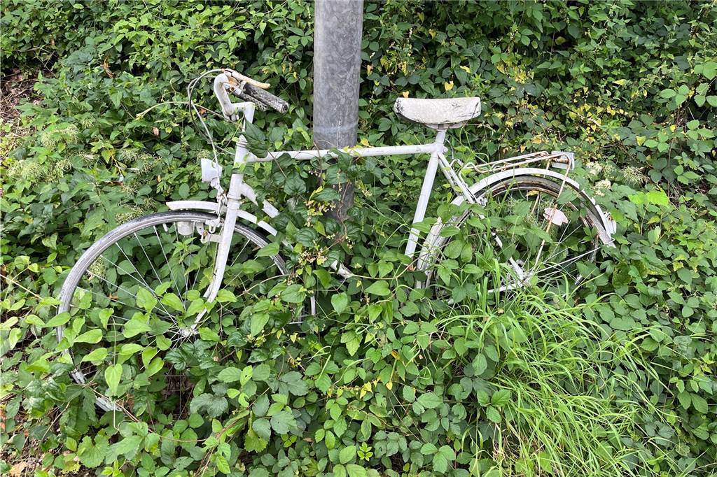 Nach tödlichem Unfall an Kurler Straße in Lünen: Ist die Stelle für Radfahrer besonders gefährlich? Das weiße Fahrrad an der Kreuzung Kurler Straße/Preußenstraße.