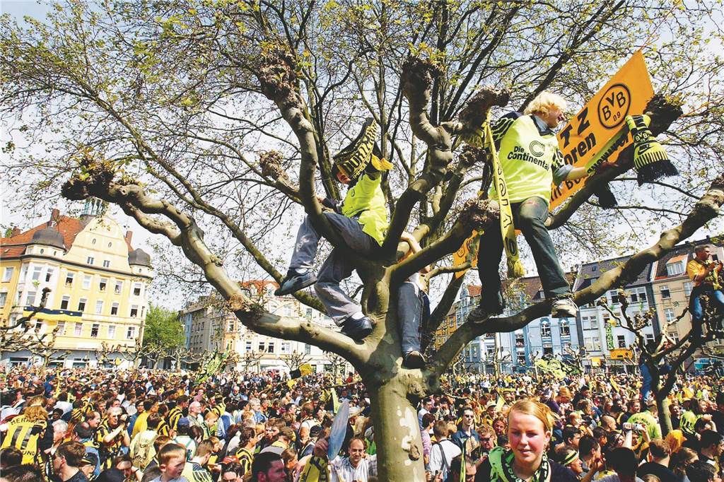 Selbst die Bäume am Borsigplatz wurden beim Korso als Aussichtspunkte genutzt.