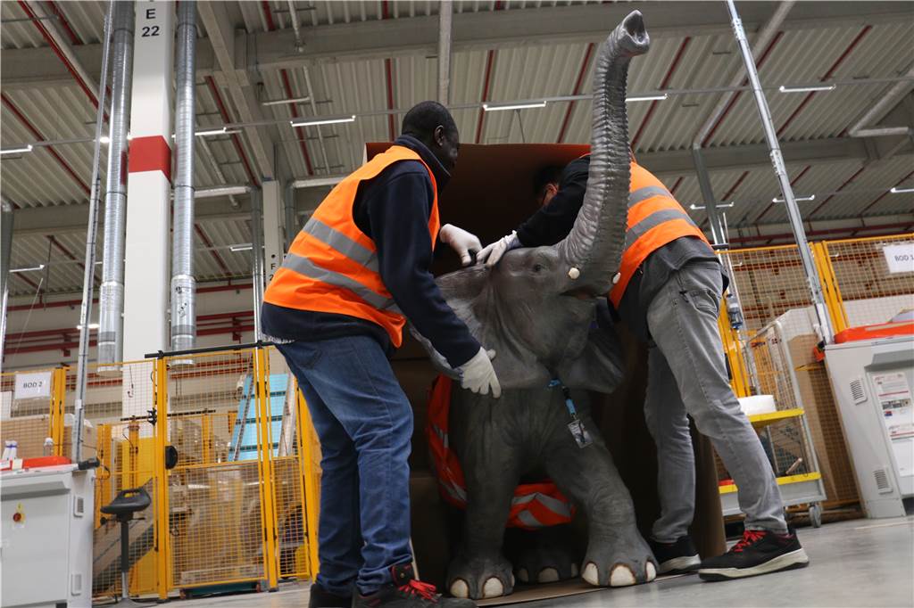 Von der Bestellung bis zur Auslieferung - So ist der Weg des Pakets bei Amazon Selbst ein 1,50 Meter großer Elefant passt in extra angefertigte Kartons.