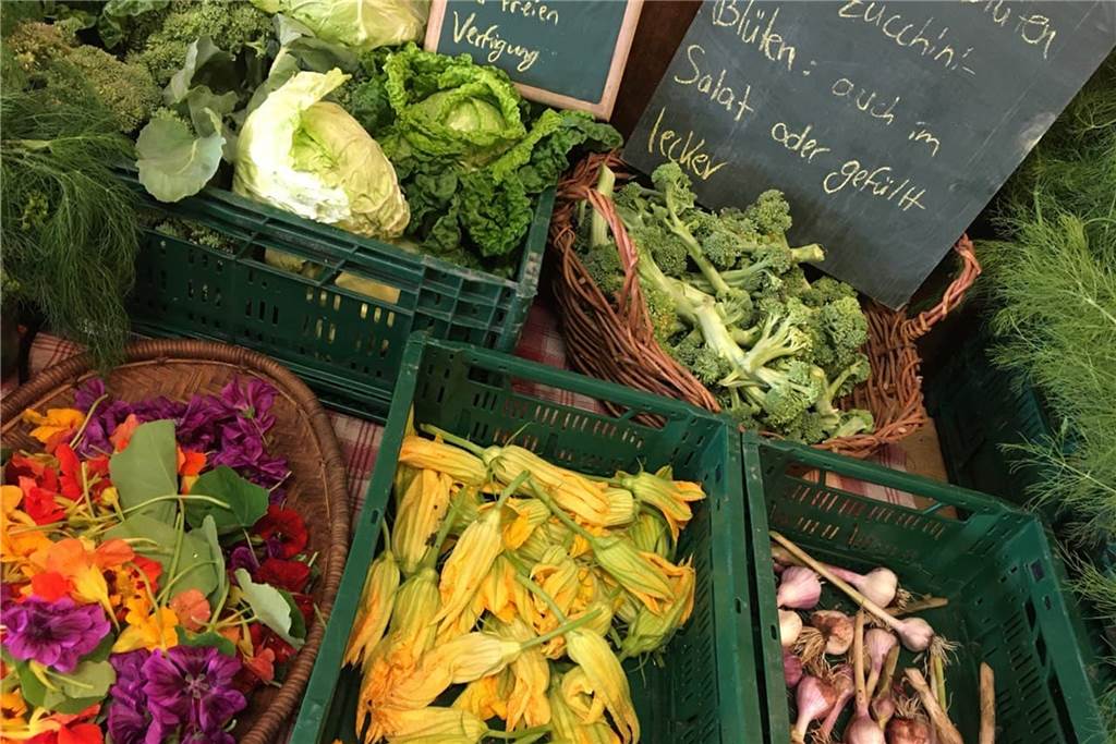 Solidarische Landwirtschaft Lippeauen Bork ist aus den Kinderschuhen raus Selbst gezogenes Gemüse wird geerntet und dann an die Ernteteiler verteilt.