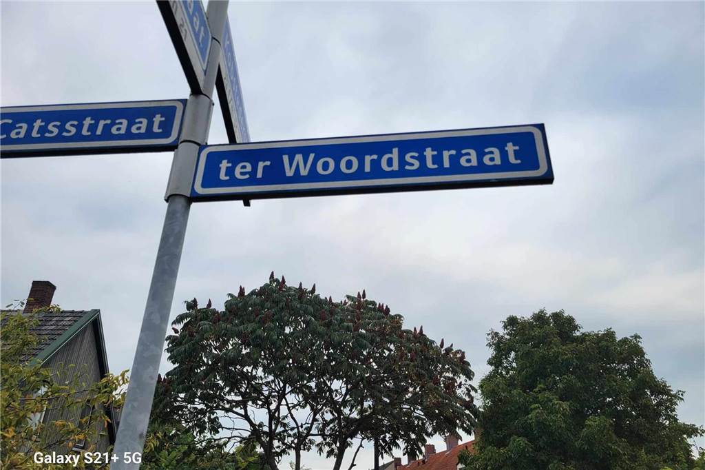 Selbst in Winterswijk fand William Terwort Hinweise auf seinen Familiennamen.