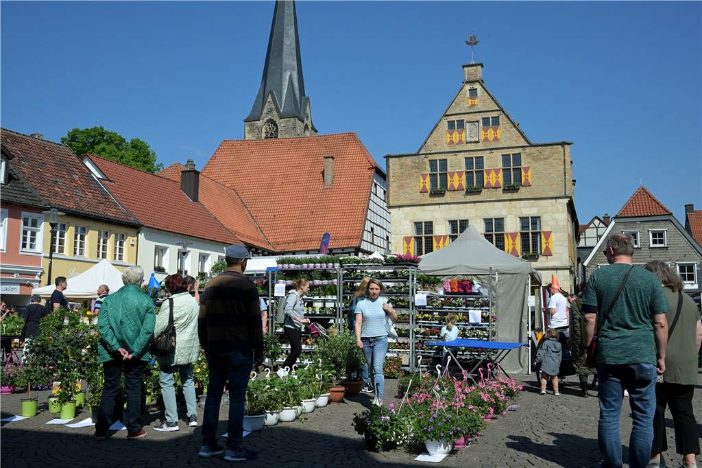 Selbst wer sich nicht für Spargel und Blumen interessiert, dem ging auf dem sonnigen, historischen Marktplatz zu Füßen des Anfang des 16. Jahrhunderts gebauten Rathauses das Herz auf. 