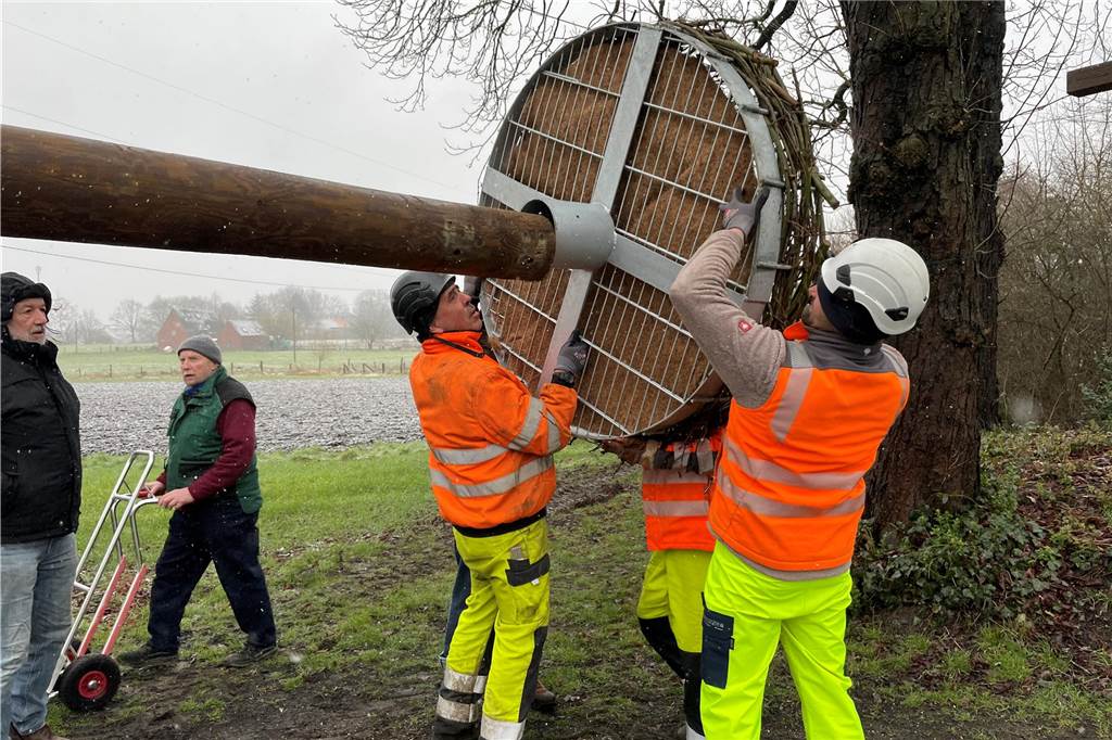 Selm hat einen neuen Storchenhorst. Am Mittwoch, 8. März, haben eine Fernmeldebaufirma, Westnetz und Naturschützer den etwa 10 Meter hohen Horst in Bork an der Schorfheide aufgebaut.