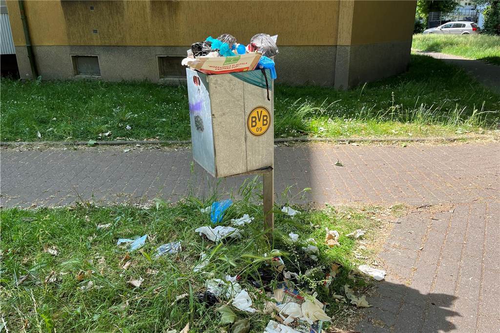 „Kein Grünschnitt“: Mieter machen Wohnungsgesellschaft LEG Vorwürfe Selten geleert werden die überquellenden Mülleimer im Meylantviertel laut Anwohnerin Ruth Ruhfaut