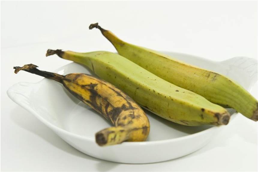 Kochbananen machen Suppen besonders sämig Sie sehen aus wie die normale Banane, schmecken aber anders: Kochbananen werden vor allem für herzhafte Gerichte verwendet. Foto: Jens Schierenbeck