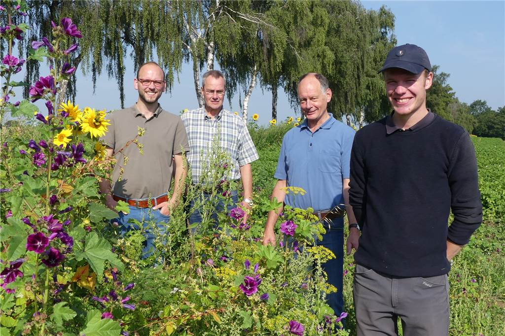 Blühstreifen in Schwerte: „Die Leute parken und packen haufenweise Blumen in den Kofferraum“ Sie sind stolz auf die bunten Blühstreifen (v.l.): Axel Lohmann, Bernd Schulte, Werner Dettmer-Prause und Samuel Mrohs.