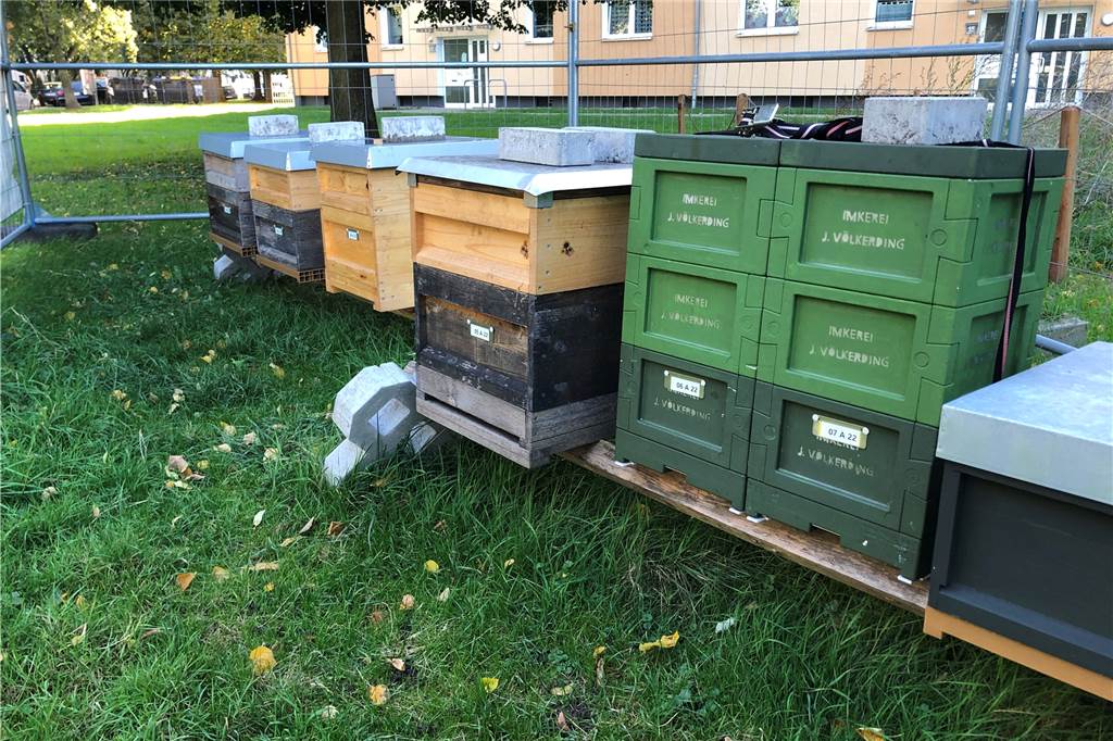 Hobbyimker hat Bienenstöcke in öffentlichem Wohngebiet aufgestellt Sieben Bienenstöcke stehen auf einer öffentlichen Wiese an der Bredowstraße in Neuasseln