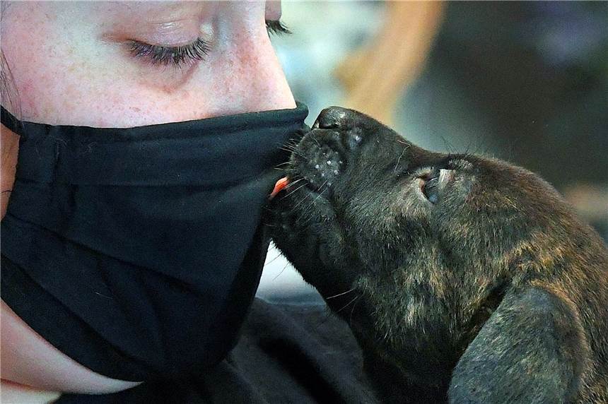 Warnung der Expertin ernst nehmen: Schmusehunde sind auch keine Lösung Sieht Hundetrainerin Ruth Räckers kritisch: den distanzlosen Umgang mancher Hundehalter mit ihren Vierbeinern.