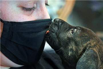 Sieht Hundetrainerin Ruth Räckers kritisch: den distanzlosen Umgang mancher Hundehalter mit ihren Vierbeinern.