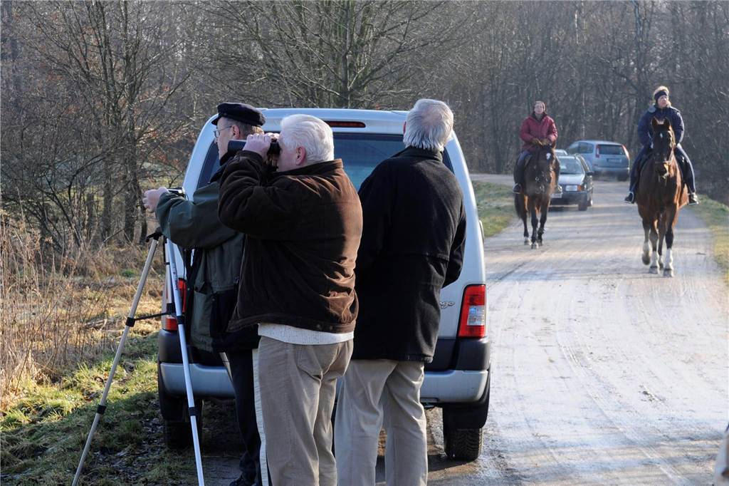 Sechs Storchenpaare sind in Dorsten heimisch geworden - mehr braucht die Stadt nicht Sind sie schon wieder da: Alljährliches Spektakel im Hervester Bruch, wenn die Störche aus dem Süden zurückkehren.