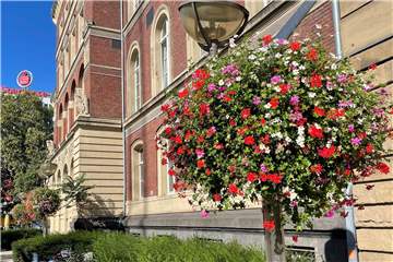 So ähnlich wie hier in der Königstraße in Duisburg sollen die Blumendekors auf dem Dorstener Marktplatz aussehen.