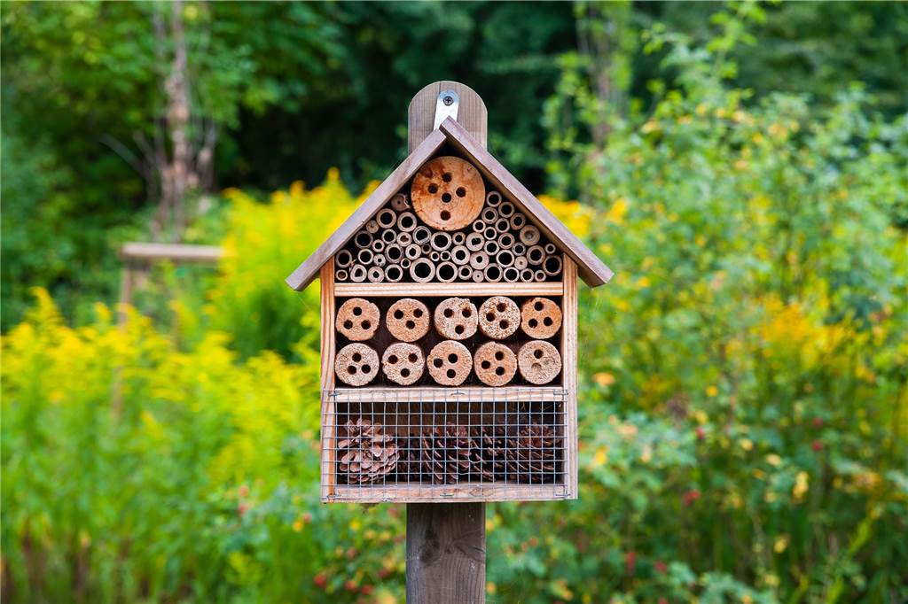 Zimmer frei: Wie baut man ein Insektenhotel? So kann es aussehen: Ein Insektenhotel besteht aus unterschiedlichen Materialien, in denen sich die Bewohner besonders wohlfühlen.