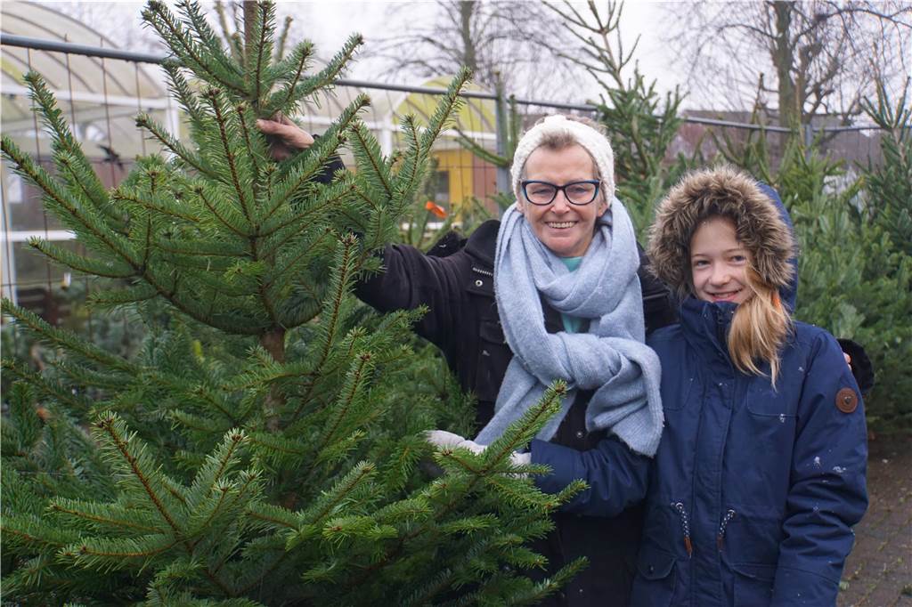 So lief der Weihnachtsbaumverkauf des SV Herbern 2024.