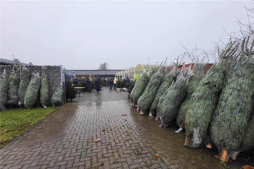 So lief der Weihnachtsbaumverkauf des SV Herbern 2024.