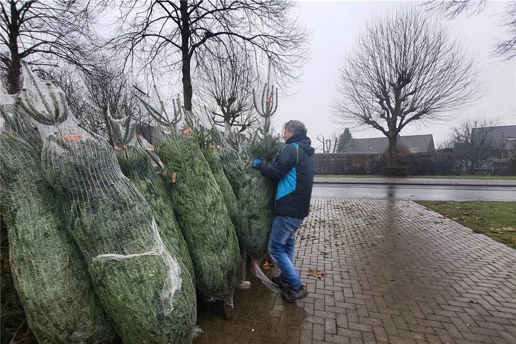 So lief der Weihnachtsbaumverkauf des SV Herbern 2024.