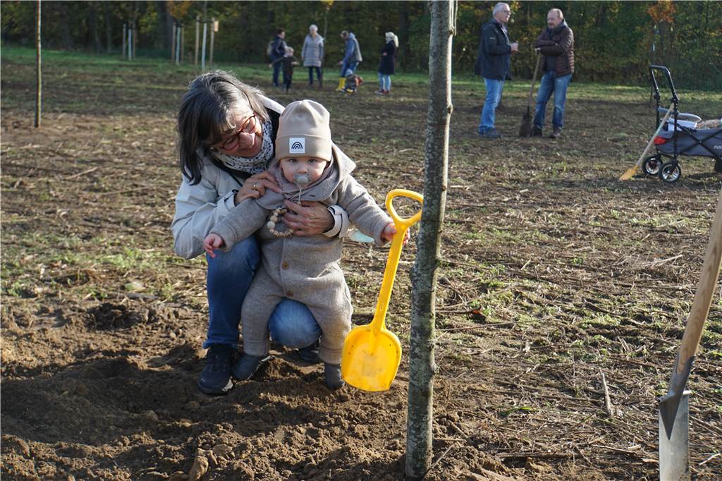 So lief die Baumpflanzaktion im Bürgerwald