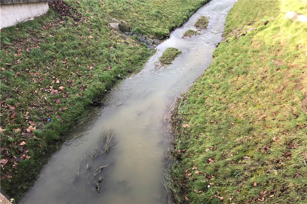 Verfärbung des Selmer Bachs: Das ist der Grund für das trübe Wasser So sah der Selmer Bach an der Ecke Buddenbergstraße und Hagenplatz am Donnerstagnachmittag aus.
