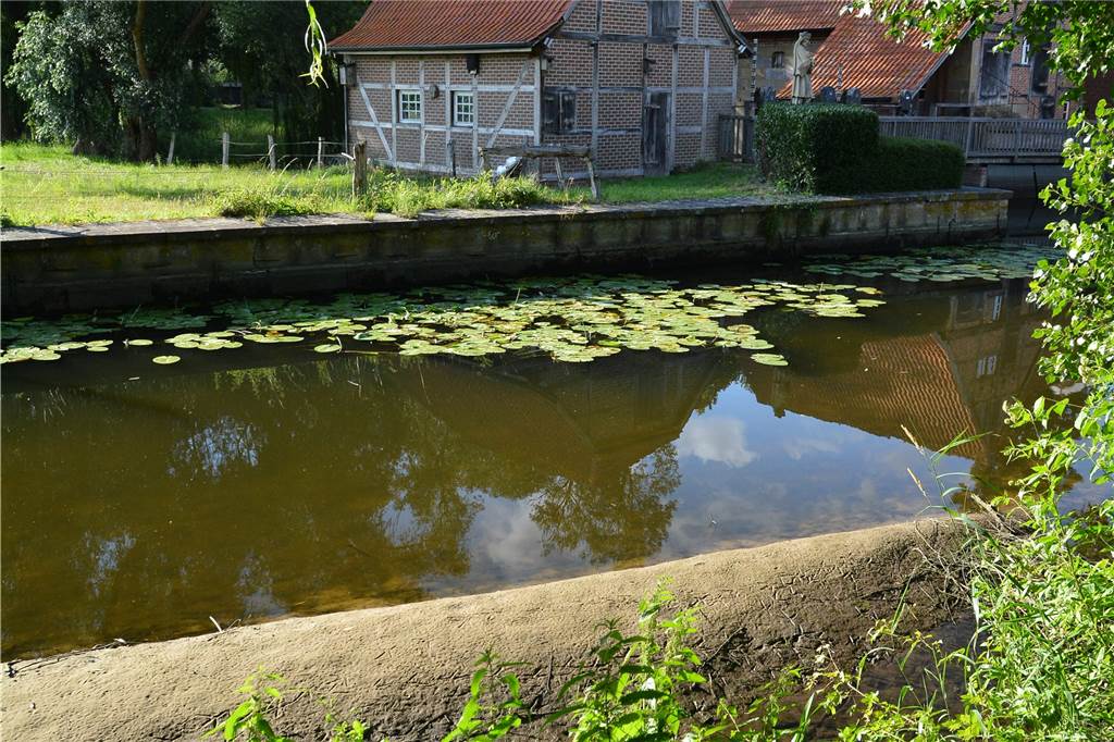 Undichtes Wehr an der alten Wassermühle sorgt für Zündstoff So sah die Dinkel bei Niedrigwasser am 15. Juli aus. Die Sandbank liegt trocken, die Seerosen liegen auf der Wasseroberfläche.