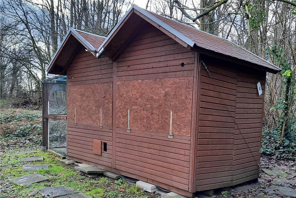 Tierschutzverein verliert Hütte für Pflege von Tieren: „Keine Wertschätzung“ So sah die Hütte aus, die der Tierschutzverein am Buchenweg aufgestellt hatte und vor kurzem abreißen musste.