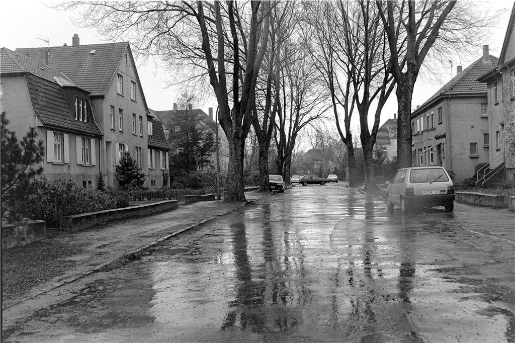 So sah die Siedlung in Horstmar 1990 aus.