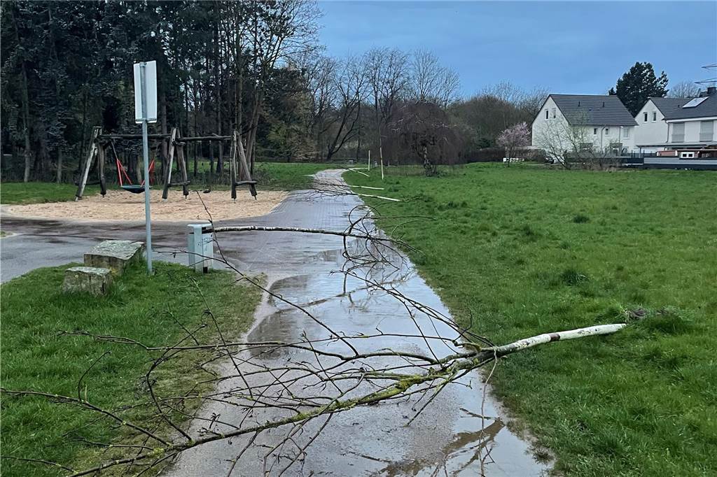 Ausgerissene Bäume an der Stadtgärtnerei: Andreas Pusch hat einen Verdacht So sah es am Freitagmorgen (31. März) am Spielplatz bei der Brackeler Stadtgärtnerei aus.
