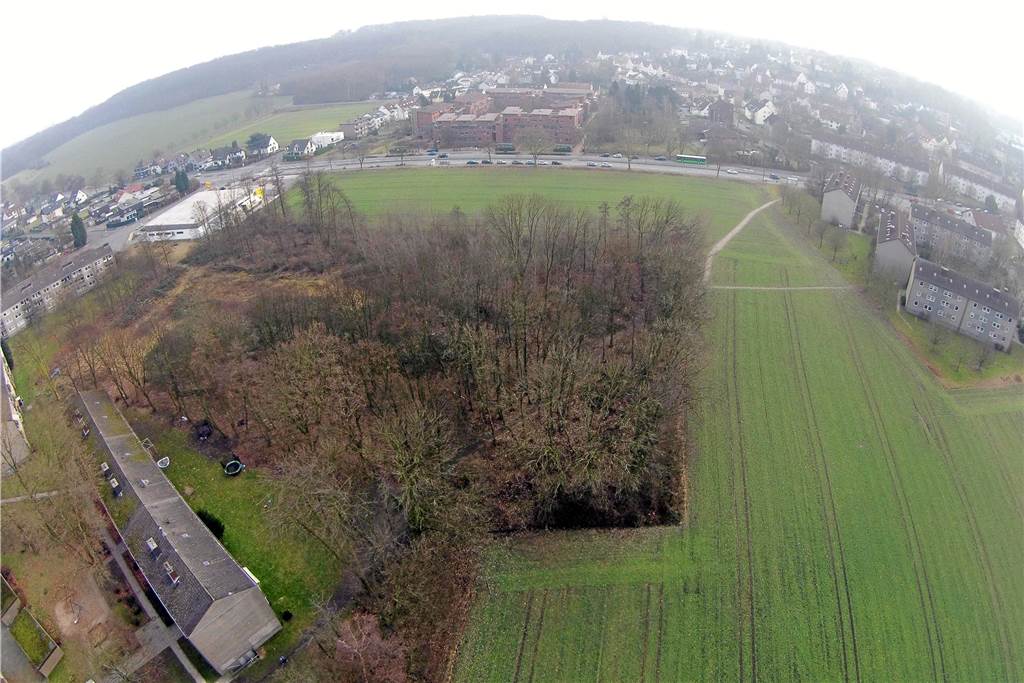 Castrop-Rauxeler Baugebiet: Noch nicht erschlossen, aber schon ausverkauft So sah es auf dem Gelände vor zwei Jahren aus: Der Wetterschacht im kleinen Waldstück, rundherum landwirtschaftlich genutzte Fläche, hinten die Pallasstraße. Nach der Rodung wird hier seither erschlossen und bald gebaut.
