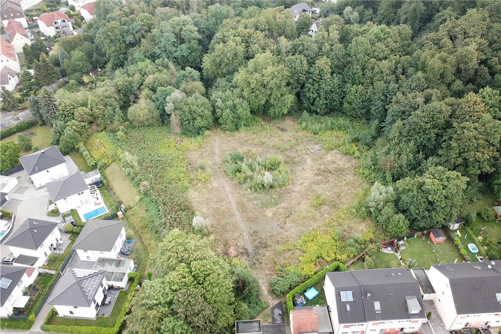 Planer bleibt dran: „Dorloh plus“ im Waldviertel Dingen soll Premium werden So sah es im Sommer/Herbst 2019 auf der alten Zechenbrache von Graf Schwerin 3/4 aus. Die Fläche war von Sträuchern, Stauden und Gräsern bewachsen und wurde gern für Hunde-Spaziergänge genutzt.
