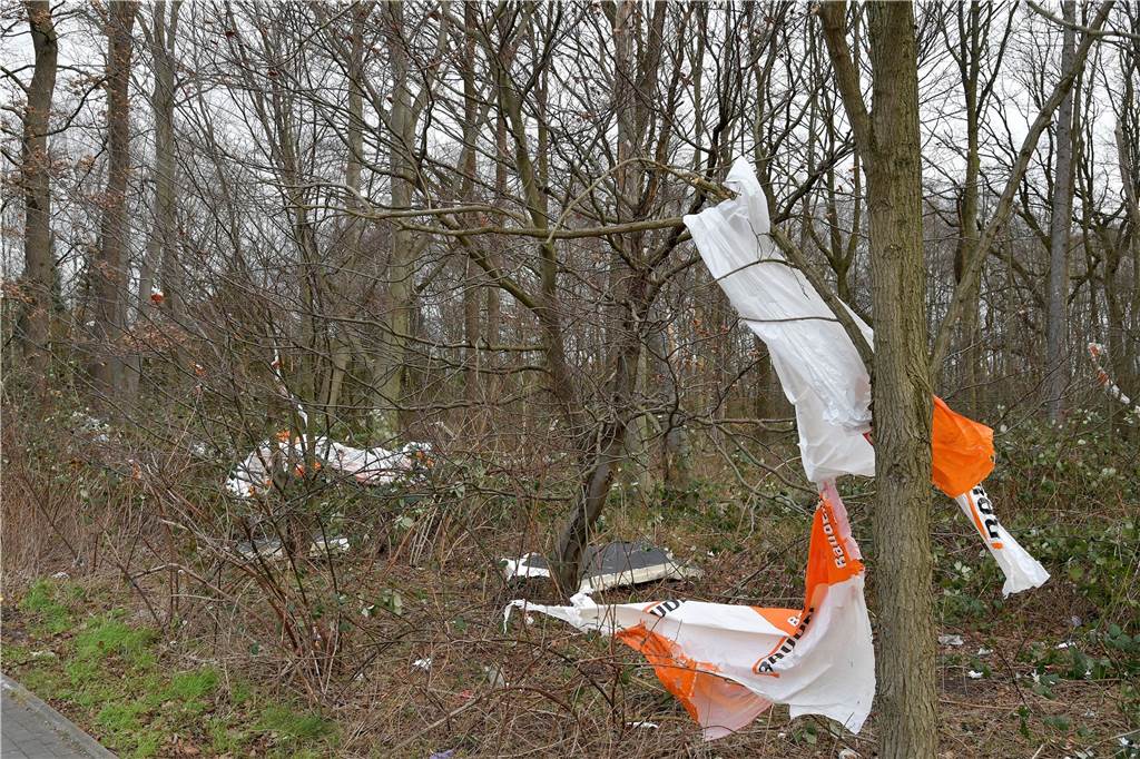 Firma lässt Plastik in Bäumen: Besitzer spricht von „asozialem Verhalten“ So sah es noch am 8. April in dem Waldstück aus.