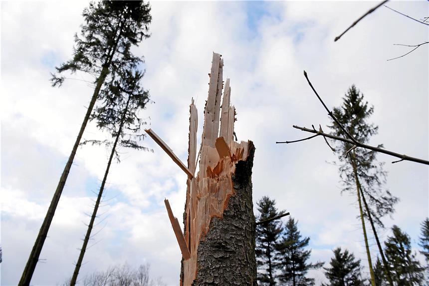 Bilanz nach dem Orkan: Friederike war in Schwerte schlimmer als Kyrill So sahen die Sturmschäden bei der Familie Wassermann auf Gut Halstenberg aus.