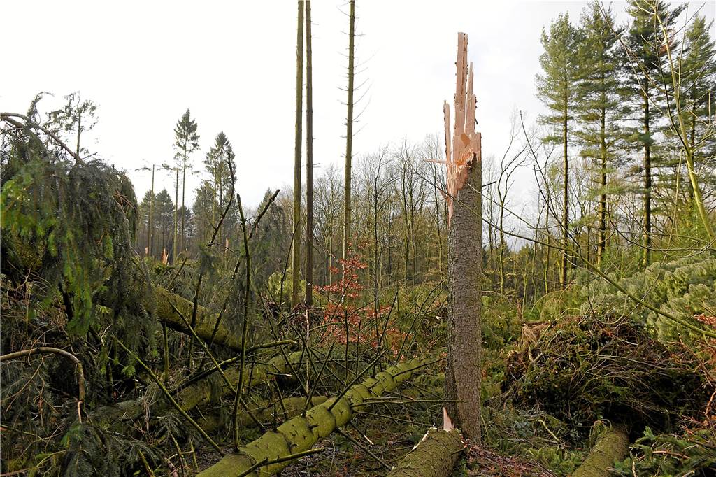 So sahen die Sturmschäden im Januar 2018 aus, hier bei Gut Halstenberg in Ergste.