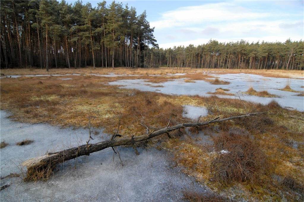 Das Wasag-Moor leistet einen wichtigen Beitrag zum Klimaschutz Das Wasag-Moor im Winter