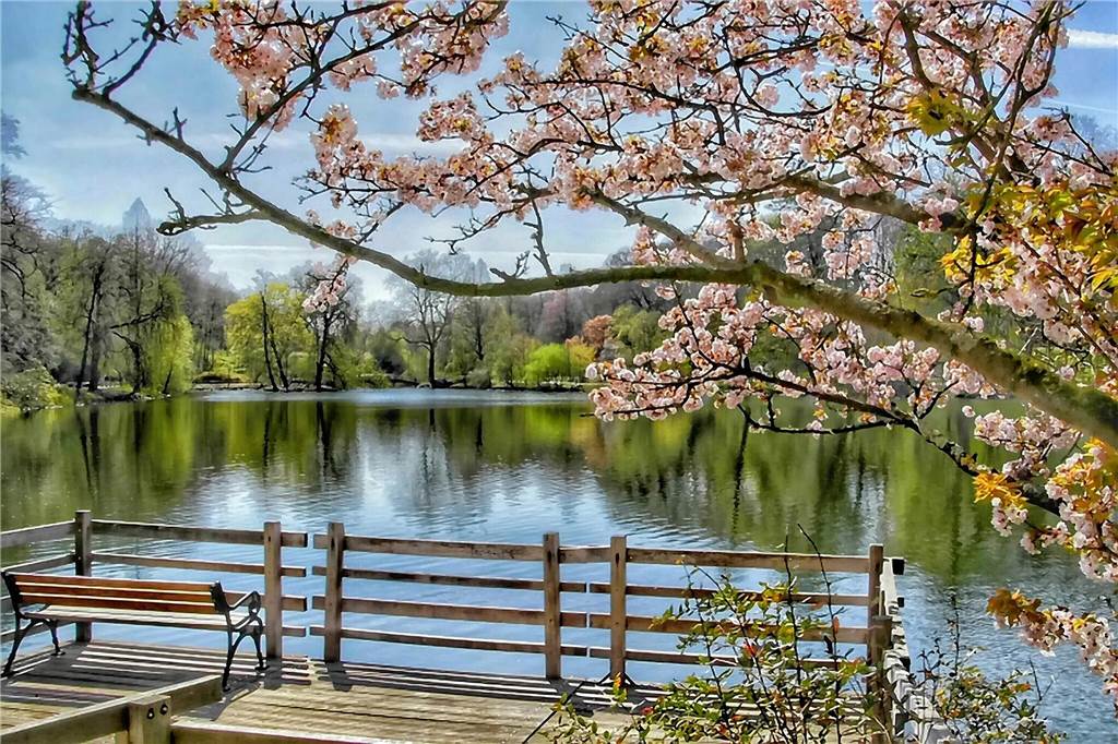 Maroder Steg im Rombergpark: Im März soll Sanierung endlich starten Steg am Teich des Rombergparks.