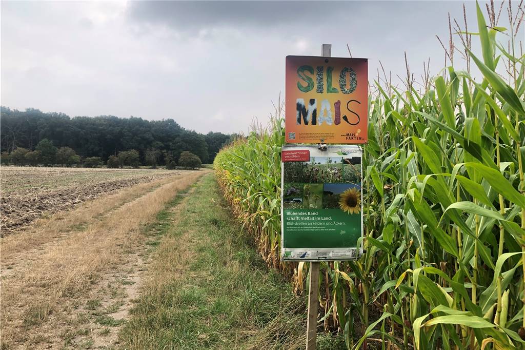 Waltroper Landwirt wütend: Beschmierte Schilder sollten Aufklärung bieten So sehen die Schilder von Bernd Middeldorf eigentlich aus.