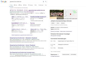 So sieht das Ergebnis der Google-Suche zurzeit aus, wenn man "Gesamtschule Nordkirchen" eingibt.