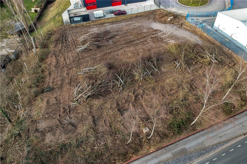 Familie Schett prangert Kahlschlag an der Derner Straße an So sieht das gerodete Gebiet aus der Luft aus - fotografiert mit einer Drohne. Oben ist ein Teil des Wendehammers an der Nikolaus-Groß-Straße zu sehen, über den die neue Halle der Firma Gehrmann erschlossen wird