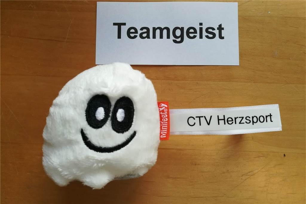 Rollende Kontaktbörse - Christa Burmeister radelt 220 Kilometer zu ihren Schützlingen So sieht das Maskottchen aus, das Christa Burmeister allen aus ihren Kursen vorbeigebracht hat.