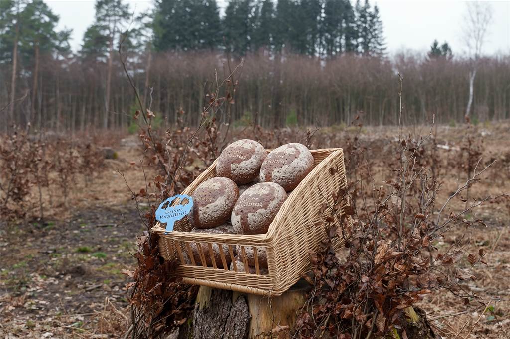 Für mehr Bäume in der Region: Neues „Waldbrot“ in Haltern erhältlich So sieht das neue „Waldbrot“ aus.