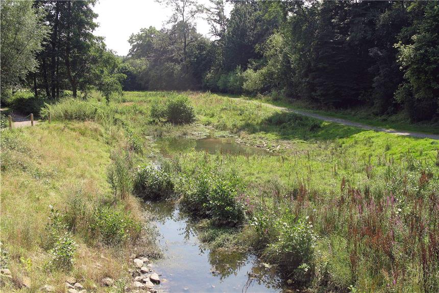 Landwehrbach-Kanal wird für viel Geld gebaut So sieht der Landwehrbach an Stellen aus, wo er bereits renaturiert ist. Nun geht die Emschergenossenschaft daran, auch im Norden der Stadt einen Abwasserkanal am Landwehrbach zu bauen.