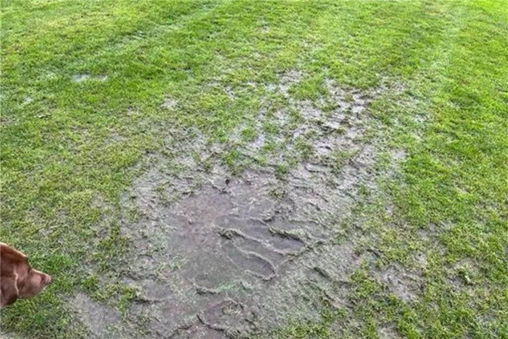 Ligaspiel der SG Selm in Ascheberg abgesagt: Gastgeber tauschen Heimrecht nicht: „Ist legitim“ So sieht der Sportplatz beim TuS Ascheberg aktuell aus.