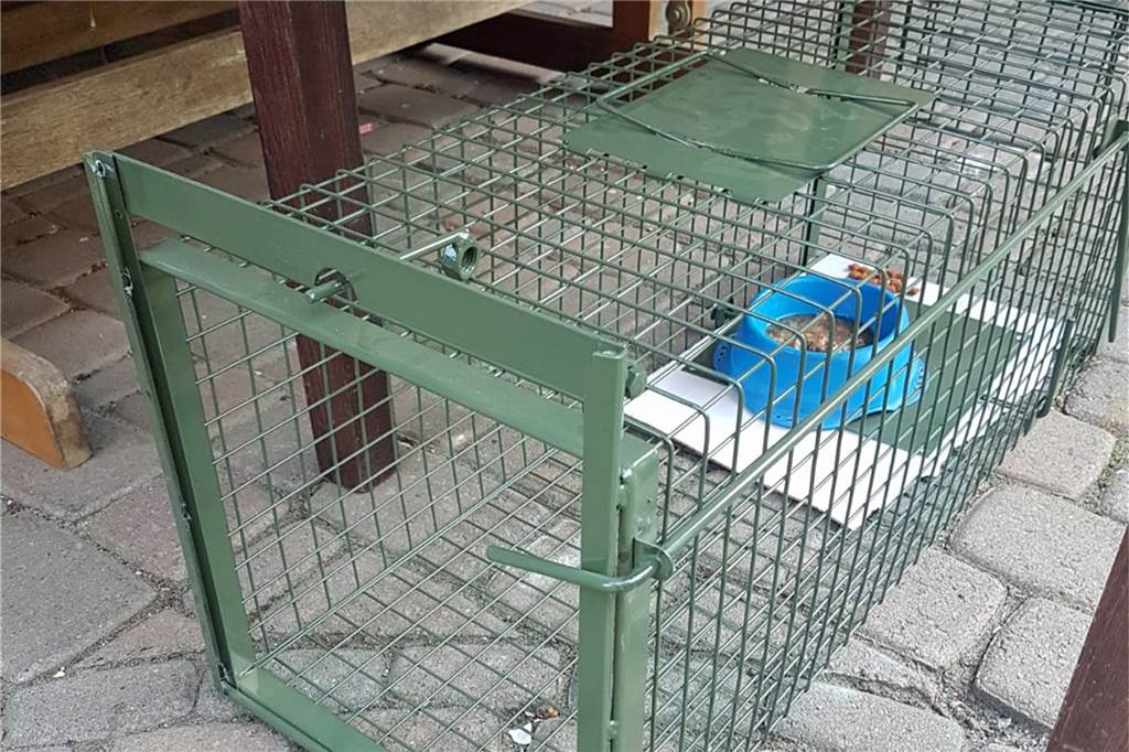 So sieht die Fangbox aus, mit der Conny Sander streunende Katzen einfängt.