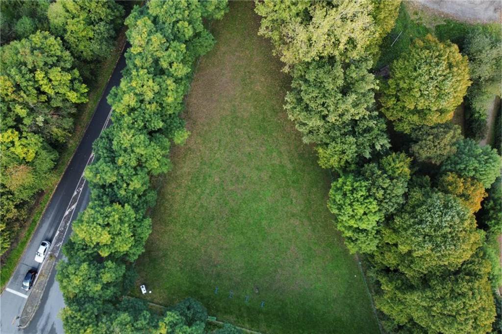 Hardter Hundewiese wird zum Renner: Verein erhöht Mitgliederzahl Hundewiese von oben