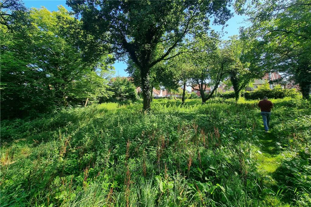 Sensationelle Funde und Pläne für den Garten des „Hohen Hauses“ Garten des Hohen Hauses in Nienborg