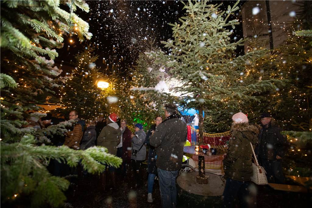 Endlich wieder Glitzerwald in Selm: Lichterglanz an der Friedenskirche So sieht es aus, wenn der Glitzerwald leuchtet und glänzt.