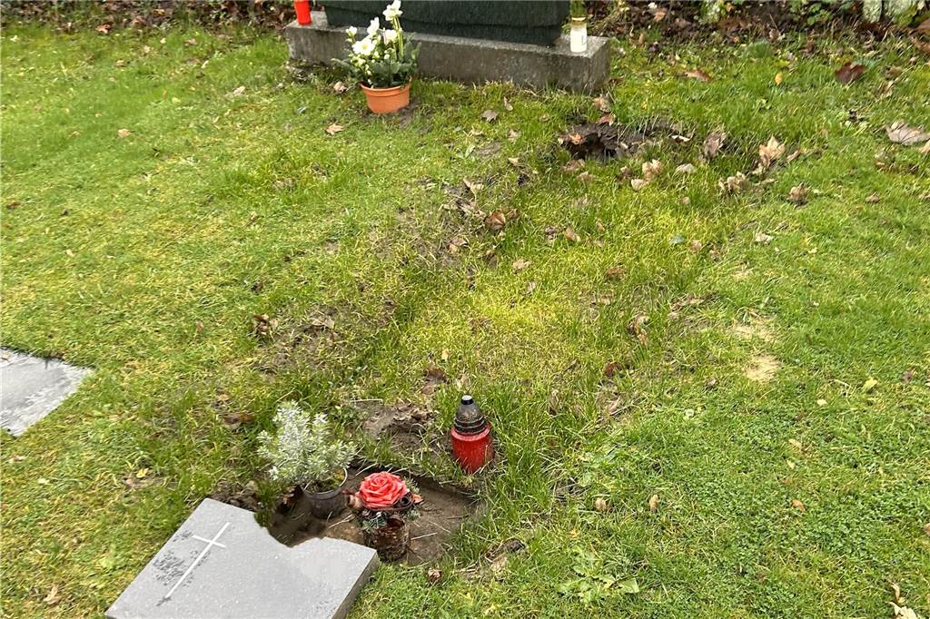 Mehrere Rasengräber auf altem Friedhof in Sythen abgesunken Ein Rasengrab, das einige Zentimeter abgesunken ist.