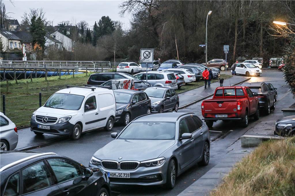 Wildes Parken an der Schönaustraße