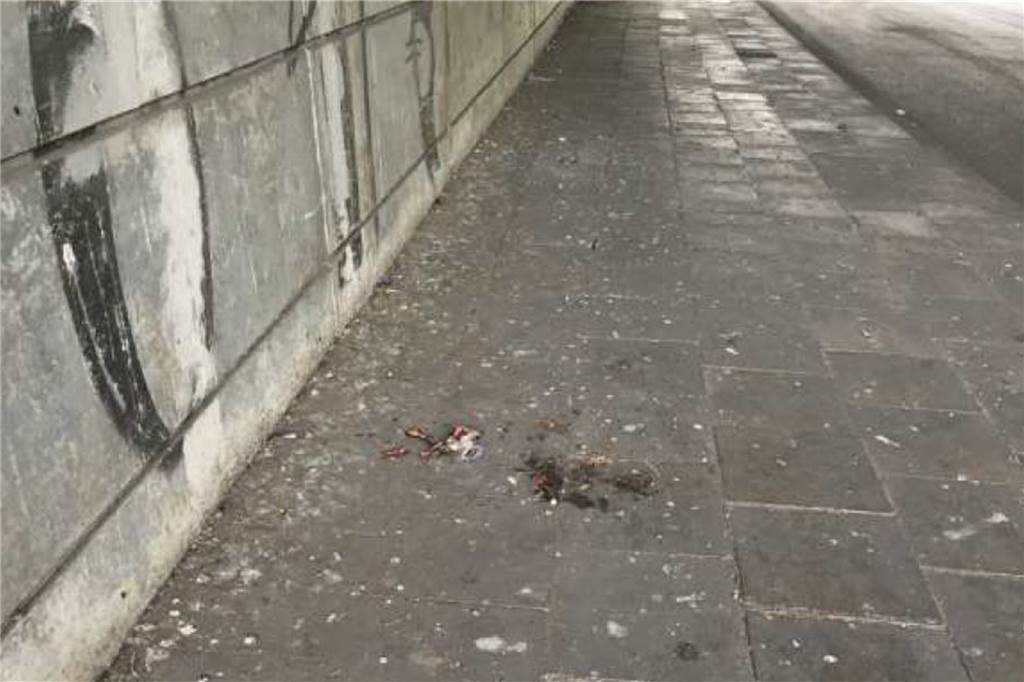 Castrop-Rauxel hat neben dem Gänse- auch ein massives Taubenproblem So sieht es unter der Autobahnunterführung am Westring aus, hat die CDU dokumentiert. Taubenkot und Taubenkadaver prägten das Bild.