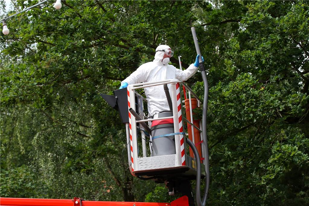 Schaum, Meisen und Co.: So könnten die Eichenprozessionsspinner 2020 zurückgedrängt werden So sieht meistens die Bekämpfung des Eichenprozessionsspinners aus: im Schutzanzug mit Handschuhen und Industriesauger geht es per Hubbühne nah ans Nest. Doch es gibt auch andere Möglichkeiten.
