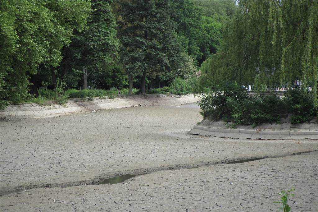 Gondelteich im Stadtgarten ist nun ganz ohne Wasser So wie auf diesem Foto hat man den Gondelteich wohl noch nie gesehen. Der EUV hat nun das ganze Wasser abgelassen.